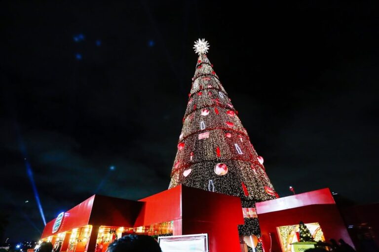 Parque Villa-Lobos recebe árvore de Natal de 55 metros da Coca-Cola